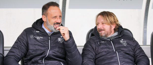 stuttgart-matarazzo-mislintat