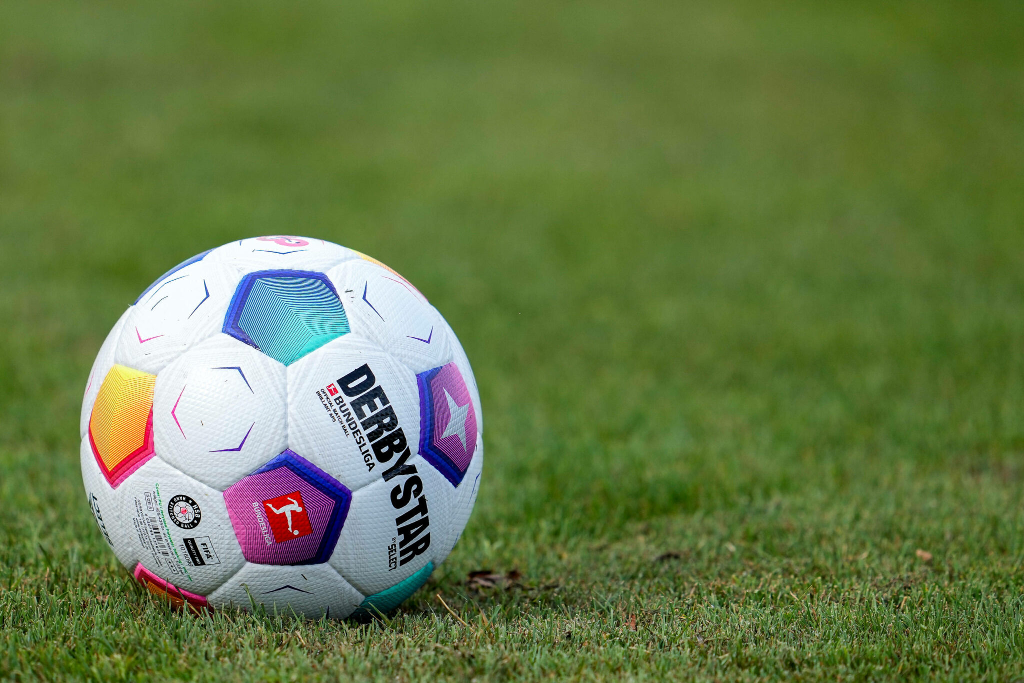 das königsspiel ein meister wird geboren
